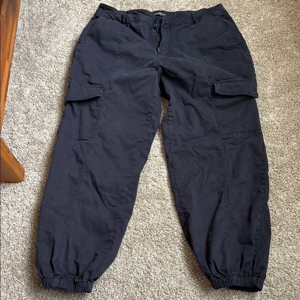 Flag and Anthem women’s Cargo Pants 14/32